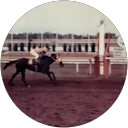 D T Stock (Patilargo Rey del Caribe) profile picture