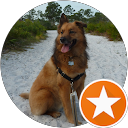 J Morace profile picture