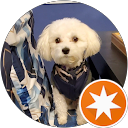 Lisa N. profile picture